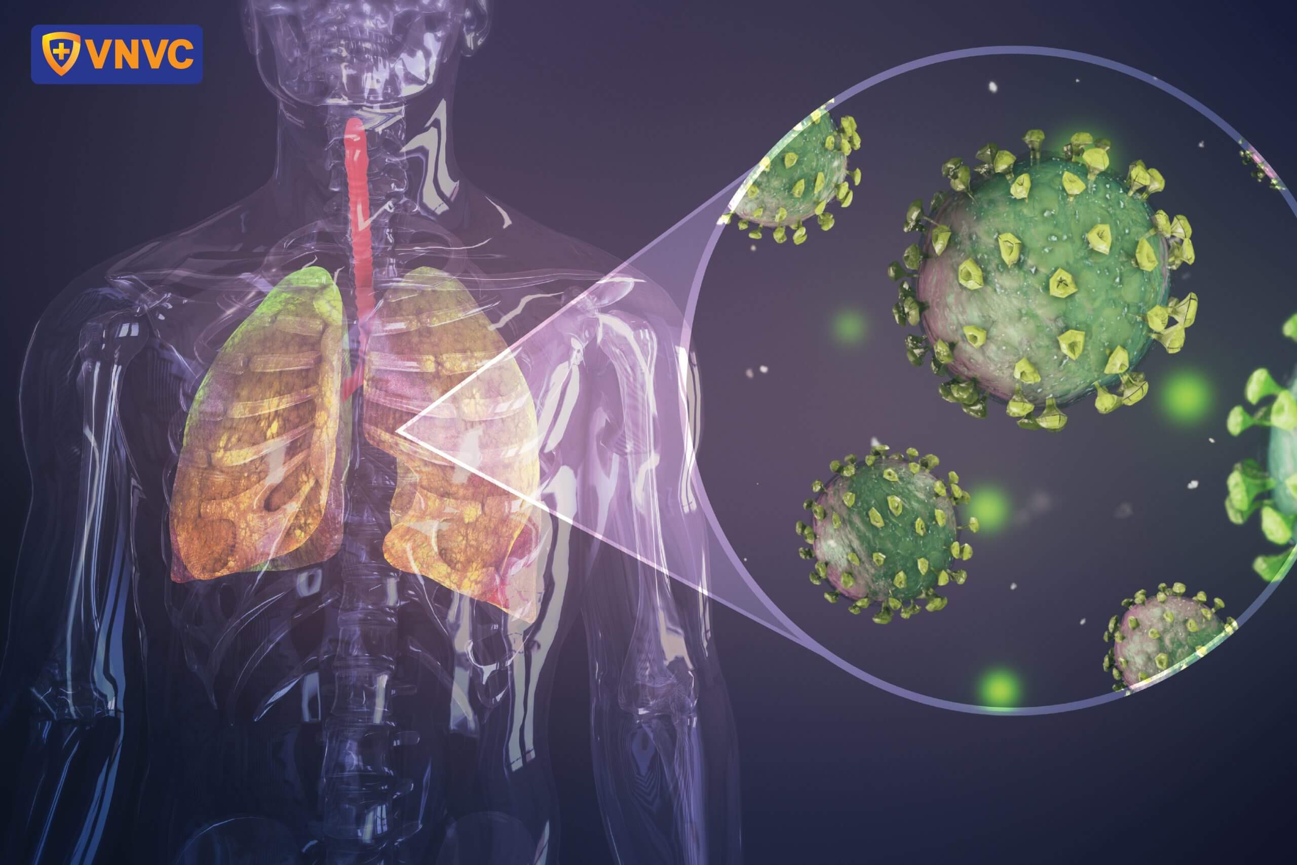 virus cum thay doi hang nam